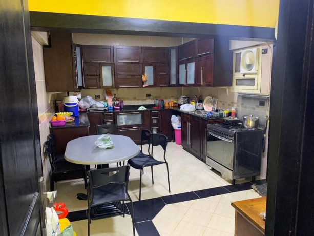 shkh-llbyaa-aobra-syty-alshykh-zayd-ardy-bgardyn-big-1