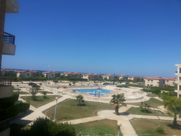 fyla-llbyaa-bkry-alfyroz-alsahl-alshmaly-big-0