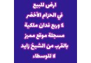 ard-llbyaa-f-alshykh-zayd-alhzam-alakhdr-mlky-msgl-mokaa-hyo-small-0