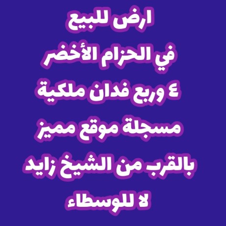 ard-llbyaa-f-alshykh-zayd-alhzam-alakhdr-mlky-msgl-mokaa-hyo-big-0