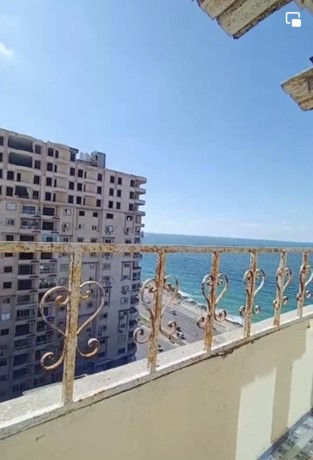 shk-llbyaa-fy-kamb-shyzar-aaly-bhr-askndry-big-0