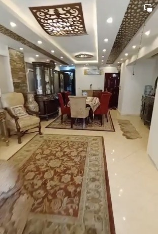 shk-llbyaa-fy-kamb-shyzar-aaly-bhr-askndry-big-1