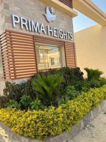 taon-fyla-llbyaa-f-kmbond-fy-alshykh-zayd-big-1