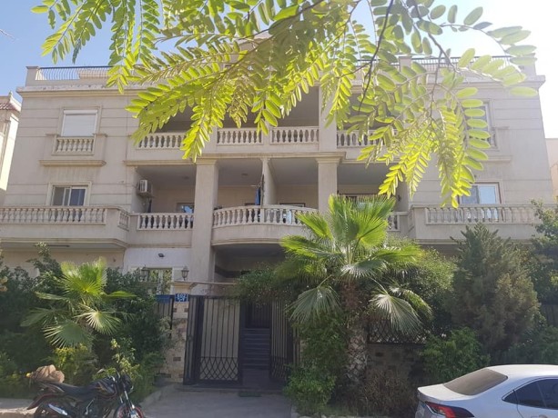 shkh-llbyaa-fy-kmbond-alnkhyl-altgmaa-alaol-big-0