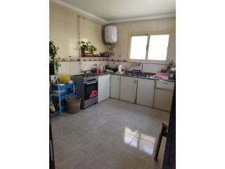 شقه روف المقطم