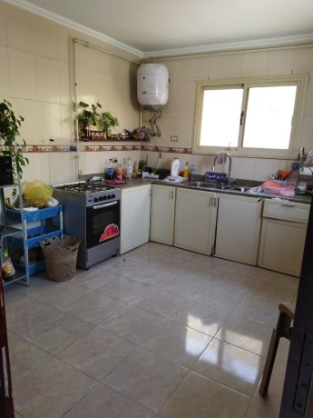 shkh-rof-almktm-big-0