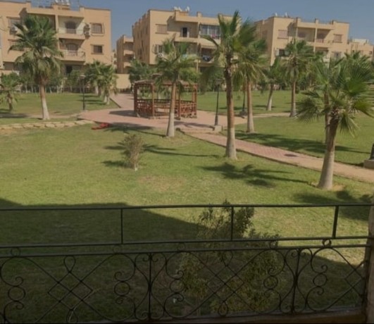 frsh-shkh-mttaaodsh-fy-kombond-alnkhyl-355-mtr-bmokaa-mtmyz-la-llostaaa-big-0