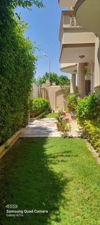 fyla-mstkl-llbyaa-f-kmbond-aldoblomasyyn-altgmaa-big-0