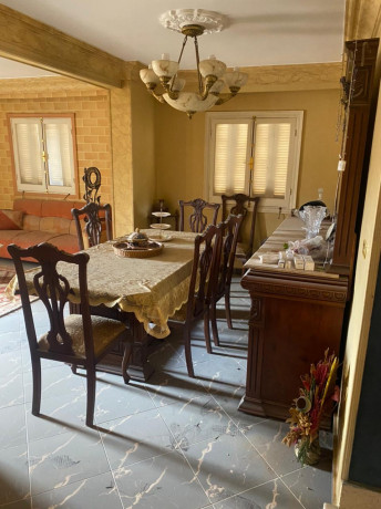 shk-llbyaa-f-almktm-bsaar-lkt-big-0