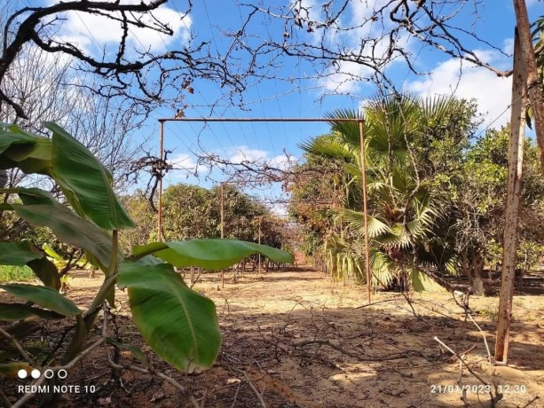 fyla-llbyaa-fy-alryf-alaoroby-tryk-msr-askndry-alshraoy-big-2