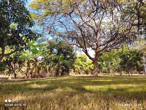 fyla-llbyaa-fy-alryf-alaoroby-tryk-msr-askndry-alshraoy-big-3