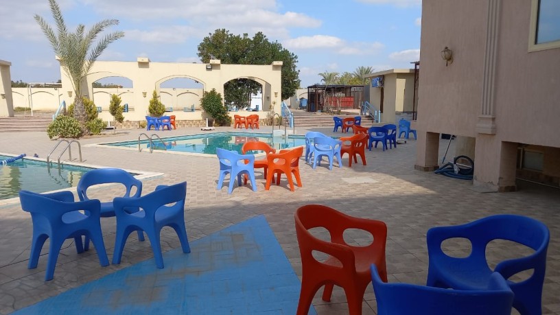 fndk-llbyaa-fy-msr-tryk-msr-askndry-alshrao-big-6