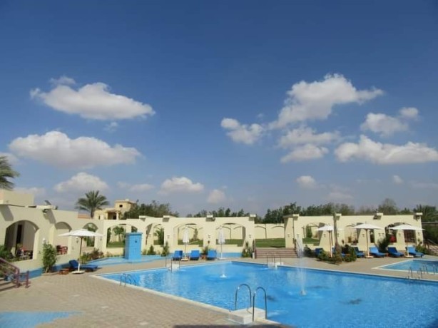 fndk-llbyaa-fy-msr-tryk-msr-askndry-alshrao-big-2