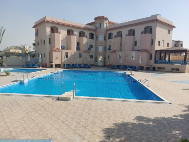 fndk-llbyaa-fy-msr-tryk-msr-askndry-alshrao-big-1