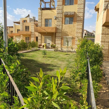 fyla-llbyaa-fy-alaayn-alskhn-big-0