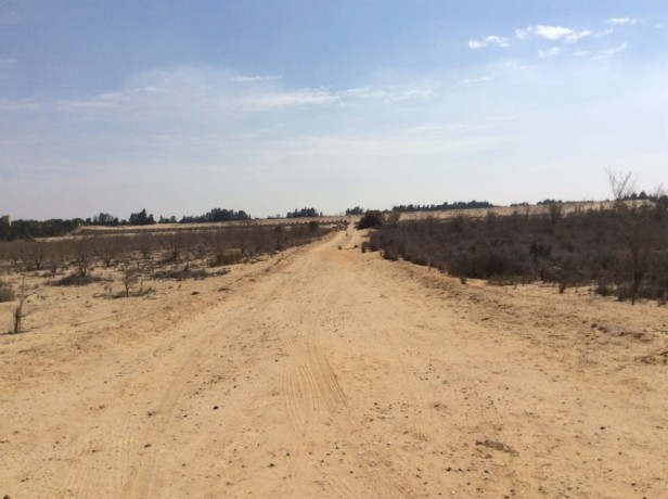 25-fdan-llbyaa-fy-tryk-msr-askndryh-alshraoy-big-0