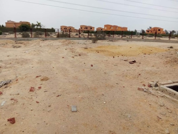 fyla-llbyaa-fy-oady-alnkhyl-msr-askndry-alshraoy-big-3