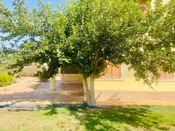 fyla-llbyaa-fy-kmbond-smrknd-tryk-msr-askndry-alshraoy-big-3