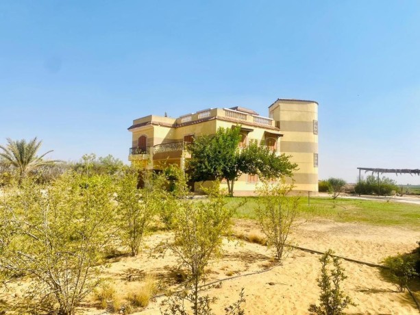 fyla-llbyaa-fy-kmbond-smrknd-tryk-msr-askndry-alshraoy-big-1