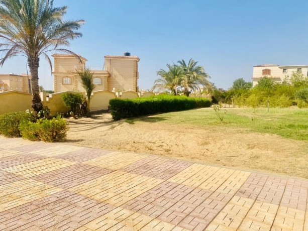 fyla-llbyaa-fy-kmbond-smrknd-tryk-msr-askndry-alshraoy-big-2