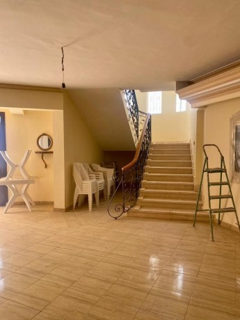 fyla-llbyaa-fy-kmbond-smrknd-tryk-msr-askndry-alshraoy-big-6