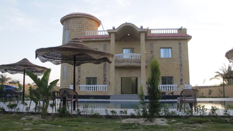 fyla-llbyaa-balryf-alaoroby-fy-mntk-hdayk-amstrdam-big-2