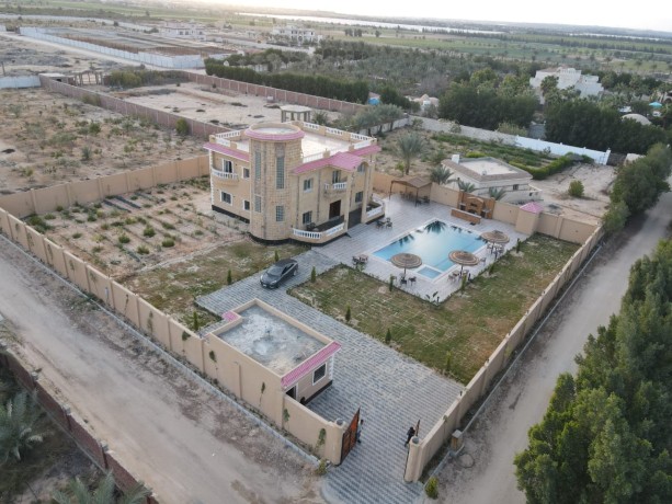 fyla-llbyaa-balryf-alaoroby-fy-mntk-hdayk-amstrdam-big-1