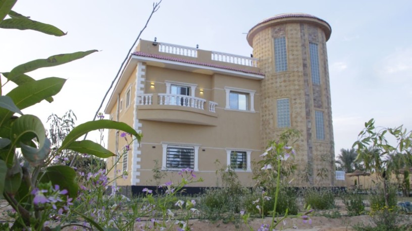 fyla-llbyaa-balryf-alaoroby-fy-mntk-hdayk-amstrdam-big-0