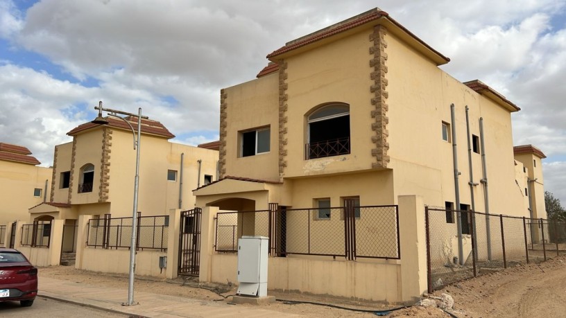 fyla-llbyaa-bgolf-alslymanyh-msr-nmothg-alaambr-big-2