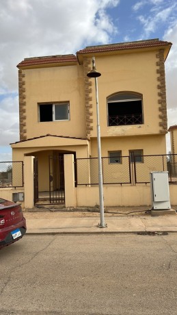 fyla-llbyaa-bgolf-alslymanyh-msr-nmothg-alaambr-big-3