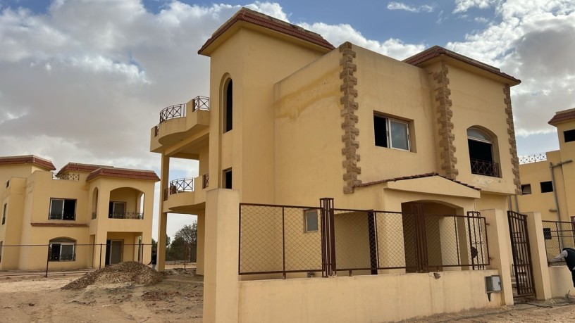 fyla-llbyaa-bgolf-alslymanyh-msr-nmothg-alaambr-big-0