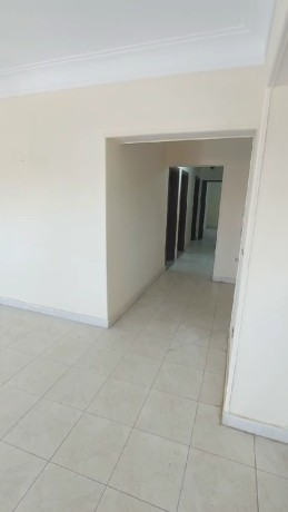 shk-llbyaa-fy-kmbond-alshfyyn-altgmaa-fyo-mftoh-skn-fory-big-2