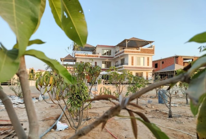 fyla-llbyaa-balryf-alaoroby-tryk-msr-askndry-alshraoy-big-2