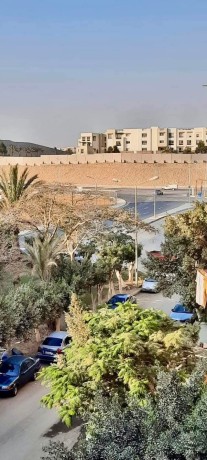 shk-llbyaa-fy-aldoblomasyyn-almktm-mokaa-mmyz-aal-alskn-alfory-big-0