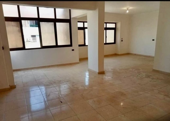 shk-llbyaa-fy-aldoblomasyyn-almktm-mokaa-mmyz-aal-alskn-alfory-big-1