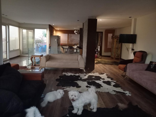 llbyaa-tryblks-ntham-skay-fyla-fy-byfrly-hylz-alshykh-zayd-balfrsh-big-1