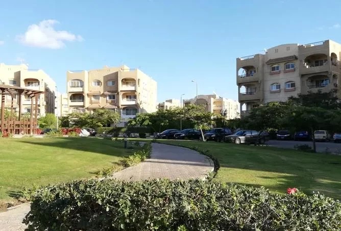 llbyaa-tryblks-ntham-skay-fyla-fy-byfrly-hylz-alshykh-zayd-balfrsh-big-0