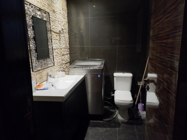 llbyaa-tryblks-ntham-skay-fyla-fy-byfrly-hylz-alshykh-zayd-balfrsh-big-2