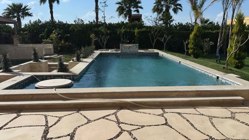 fyla-llbyaa-fy-oady-alnkhyl-tryk-msr-askndry-alshraoy-big-4