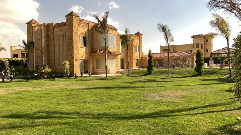 fyla-llbyaa-fy-oady-alnkhyl-tryk-msr-askndry-alshraoy-big-1