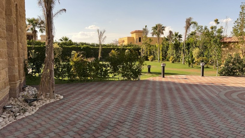 fyla-llbyaa-fy-oady-alnkhyl-tryk-msr-askndry-alshraoy-big-3