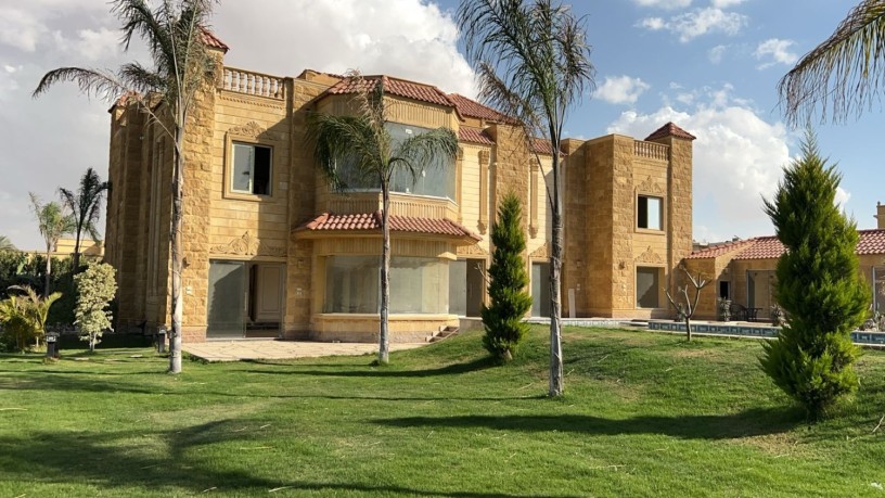 fyla-llbyaa-fy-oady-alnkhyl-tryk-msr-askndry-alshraoy-big-0