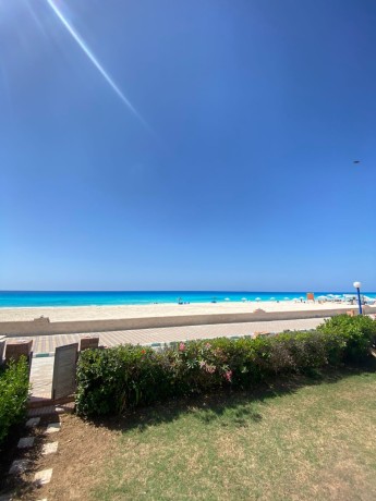 fyla-llbyaa-fy-kry-amon-alsahl-alshmaly-aal-albhr-mbashrta-bsaar-lkt-gda-lthrof-big-1