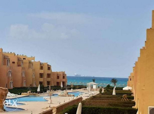 shalyh-llbyaa-fy-kryh-alhyah-2-ras-sdr-big-0