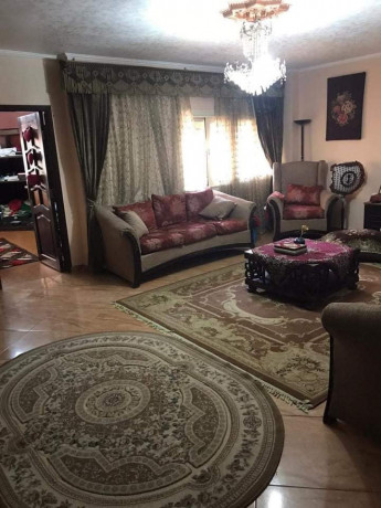 shk-llbyaa-f-mdyn-alfrsan-khlf-brg-sma-dayry-almaaady-big-0