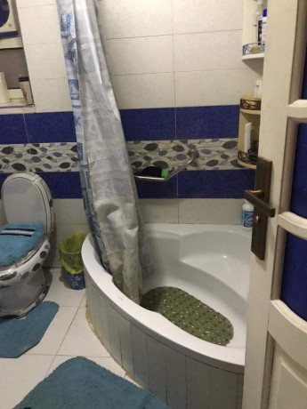 shk-llbyaa-f-mdyn-alfrsan-khlf-brg-sma-dayry-almaaady-big-1