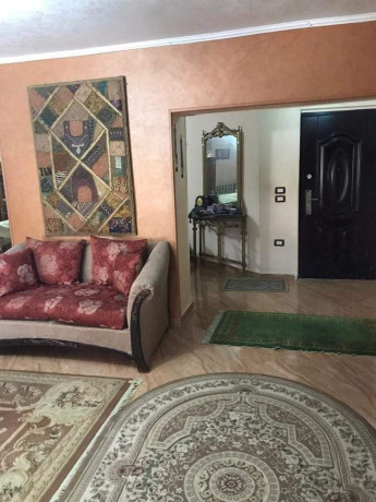 shk-llbyaa-f-mdyn-alfrsan-khlf-brg-sma-dayry-almaaady-big-2