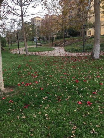 lsraa-albyaa-shk-144-mtr-mdynty-big-0