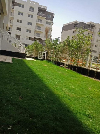 shkh-ardy-bhdykh-llbyaa-bmdynty-big-0