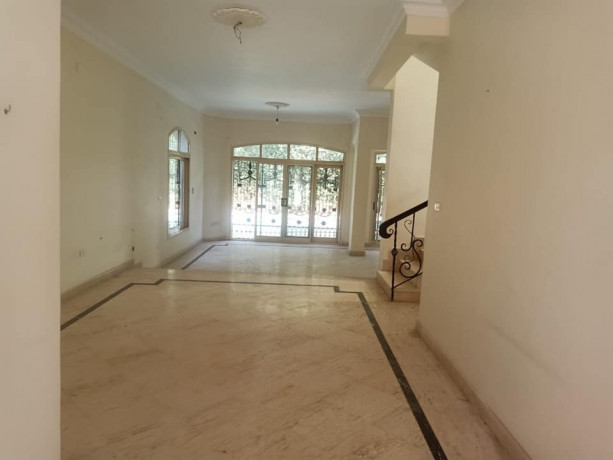 fyla-mstkl-bhmam-sbahh-lkt-bkmbond-o-mokaa-mmyz-alshykh-zayd-big-1